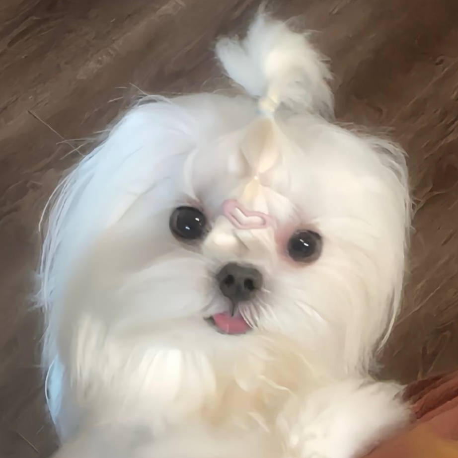 长三角招商大使